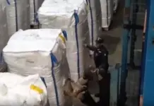 Sequestrati 138 kg di cocaina nel porto di Civitavecchia, arrestato il corriere