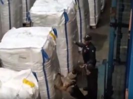 Sequestrati 138 kg di cocaina nel porto di Civitavecchia, arrestato il corriere / Video