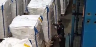 Sequestrati 138 kg di cocaina nel porto di Civitavecchia, arrestato il corriere / Video