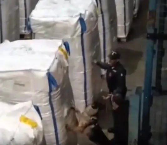 Sequestrati 138 kg di cocaina nel porto di Civitavecchia, arrestato il corriere