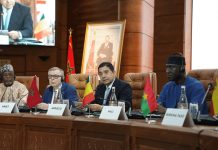 المغرب يدعو الشركاء الدوليين إلى دعم المبادرات الإفريقية في مجال مساندة ضحايا الإرهاب