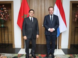 Sahara, Netherlands “Autonomy under Moroccan sovereignty is the most viable solution”
