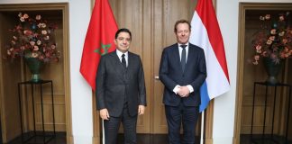 Sahara, Netherlands “Autonomy under Moroccan sovereignty is the most viable solution”
