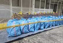 إحباط محاولة تهريب 8 أطنان و196 كلج من مخدر الشيرا في ميناء طنجة المتوسط