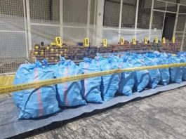 إحباط محاولة تهريب 8 أطنان و196 كلج من مخدر الشيرا في ميناء طنجة المتوسط