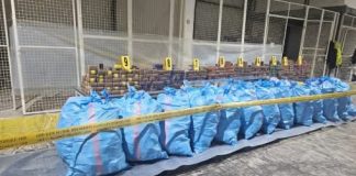 إحباط محاولة تهريب 8 أطنان و196 كلج من مخدر الشيرا في ميناء طنجة المتوسط