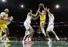 I Lakers crollano a Boston, Oklahoma City sa solo vincere: il resoconto della notte Nba