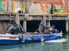 Record per i Gondolieri Sub, raccolti 18 quintali di rifiuti dai fondali di Santa Marta-Santa Maria Maggiore