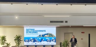 Inaugurato a Palermo il nuovo Biodiversity Gateway di via Archirafi