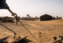 النيجر وبوركينا فاسو ترحبان بقرار الأمم المتحدة رقم 2797 بشأن الصحراء