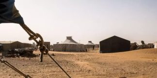 النيجر وبوركينا فاسو ترحبان بقرار الأمم المتحدة رقم 2797 بشأن الصحراء