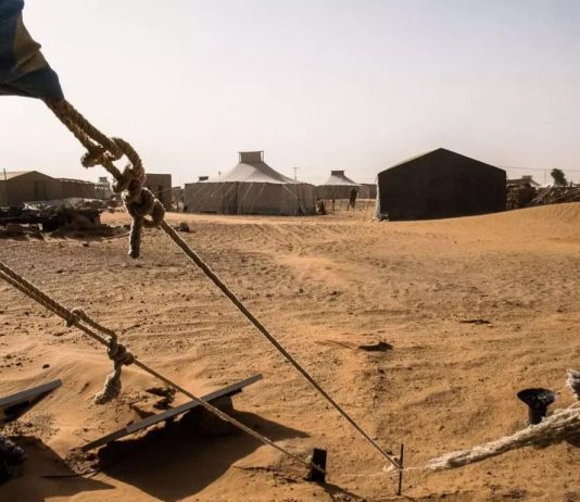 النيجر وبوركينا فاسو ترحبان بقرار الأمم المتحدة رقم 2797 بشأن الصحراء