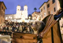 Roma: le foto delle luci di Natale nella città (3)