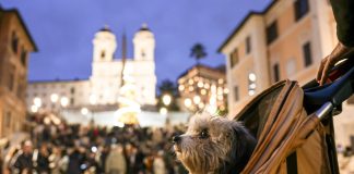 Roma: le foto delle luci di Natale nella città (3)