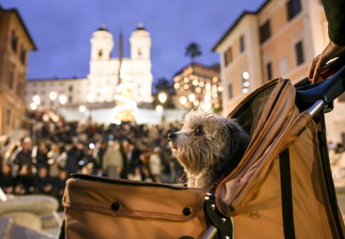 Immagine WhatsApp 2025-12-15 ore 14.50.18_91a27582