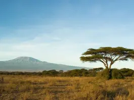 Da luglio 2026 nuovo volo diretto Neos da Milano per il Kilimanjaro