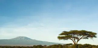 Da luglio 2026 nuovo volo diretto Neos da Milano per il Kilimanjaro