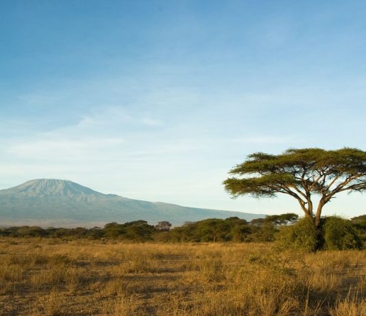 Da luglio 2026 nuovo volo diretto Neos da Milano per il Kilimanjaro