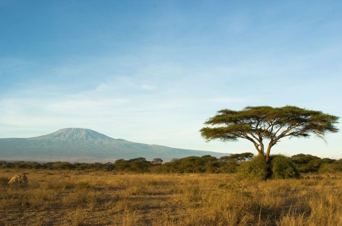 Kilimanjaro (1)
