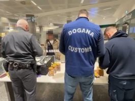 Sequestrati all’aeroporto di Malpensa oltre 18 mila farmaci illegali