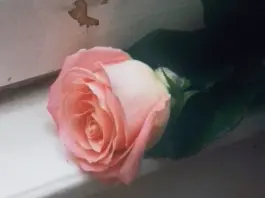 Esce il 16 gennaio “Blooom”, il nuovo album di inediti dei Planet Funk