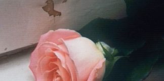 Esce il 16 gennaio “Blooom”, il nuovo album di inediti dei Planet Funk