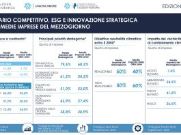 2 medie imprese su 3 del Mezzogiorno prevedono una crescita del fatturato