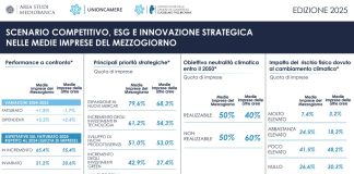 2 medie imprese su 3 del Mezzogiorno prevedono una crescita del fatturato