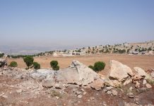 Attacco dell’Isis in Siria, uccisi due militari e un civile statunitensi