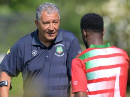 Suriname, Ten Cate appointed new head coach ahead of World Cup play-offs