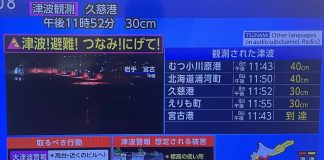 Scossa di terremoto di magnitudo 7.6 al largo del Giappone, diramata l’allerta tsunami