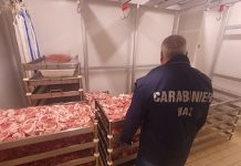 Nel Catanzarese sequestrati 150kg di alimenti irregolari