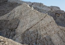 Scoperte migliaia di orme di dinosauri nel Parco dello Stelvio, Fontana: “Un regalo della storia alle Olimpiadi”