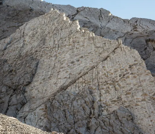 Scoperte migliaia di orme di dinosauri nel Parco dello Stelvio, Fontana: “Un regalo della storia alle Olimpiadi”