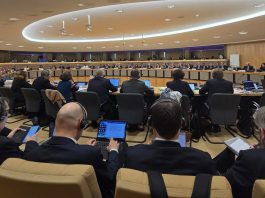 Un maggiore coordinamento nel futuro delle dogane UE