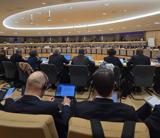 Un maggiore coordinamento nel futuro delle dogane UE