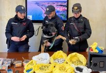 Ostia, sequestrato il carico di droga per le feste: 9 arresti e 16 denunce