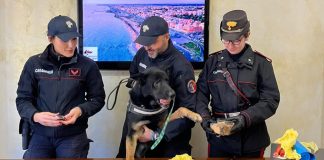 Ostia, sequestrato il carico di droga per le feste: 9 arresti e 16 denunce