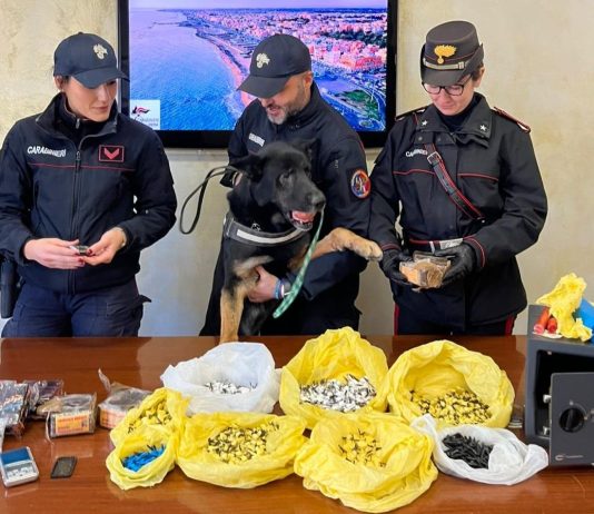 Ostia, sequestrato il carico di droga per le feste: 9 arresti e 16 denunce