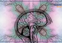 In Italia oltre 500 mila persone convivono con l’epilessia, parlarne è fondamentale