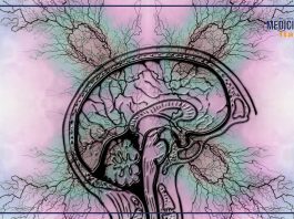 In Italia oltre 500 mila persone convivono con l’epilessia, parlarne è fondamentale