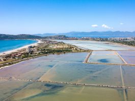 Molentargius Saline, la Giunta Regionale approva il Piano del Parco Naturale