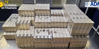 All’aeroporto di Napoli intercettati nel 2025 oltre 5 milioni di valuta non dichiarata