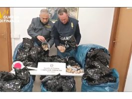 A Latina sequestrati oltre 20 kg di bulbi di papavero da oppio, arrestato un indiano