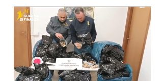 A Latina sequestrati oltre 20 kg di bulbi di papavero da oppio, arrestato un indiano
