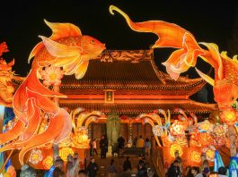 Cina: lanterne di Capodanno al Tempio di Confucio di Nanchino (1)