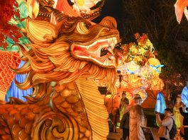 Cina: lanterne di Capodanno al Tempio di Confucio di Nanchino (2)