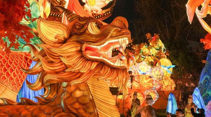 Cina: lanterne di Capodanno al Tempio di Confucio di Nanchino (2)