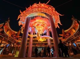 Cina: lanterne di Capodanno al Tempio di Confucio di Nanchino (3)
