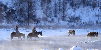 Cina: Mongolia Interna, turismo invernale sul fiume Halha ad Arxan (2)